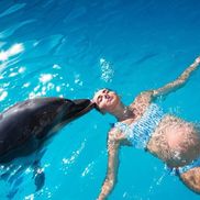 Минский дельфинарий - фото 6