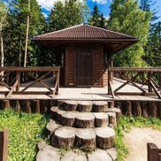 Силичи - фото 2