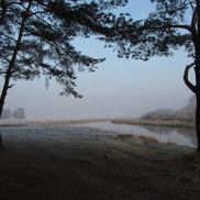 Неман - фото 6