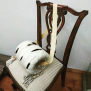 Галерея Михаила Савицкого - фото 4