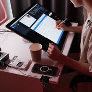 Кедр - фото 2