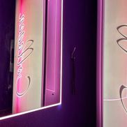 Хамелеон - фото 5