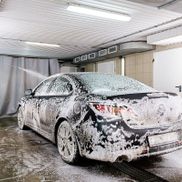 Сивый мерин - фото 1