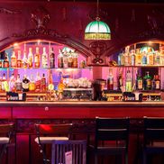 Зелёный попугай - фото 2