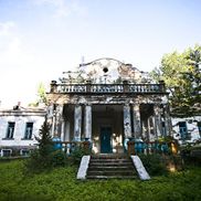 Совейки - фото 4