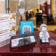 Бина - фото 4