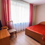 Чайка - фото 3