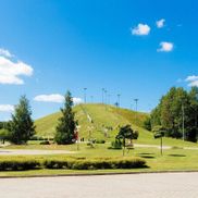 Силичи - фото 4