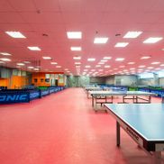 King Pong Club (Кинг Понг Клаб) - фото 4