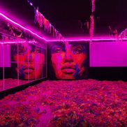 Погружение - фото 4