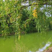 Цнянское - фото 5