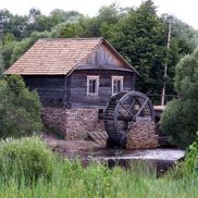 Полесский радиационно-экологический заповедник - фото 5