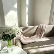 Nectarine - фото 3