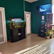 Белый питон - фото 6