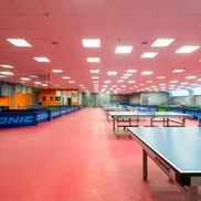 King Pong Club (Кинг Понг Клаб) - фото 2