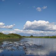 Река Березина - фото 4