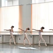 Вежновец - фото 4