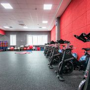 Мандарин - фото 2