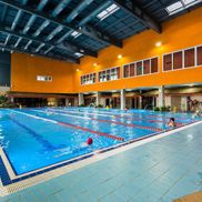 Мандарин - фото 2