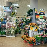 Планета цветов - фото 4