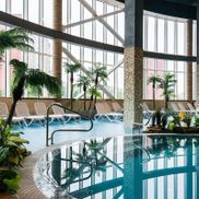 Мандарин - фото 6