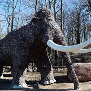 Стоянка первобытных людей - фото 5