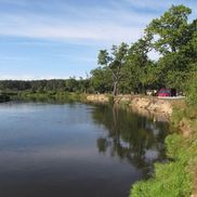 Птичь - фото 3