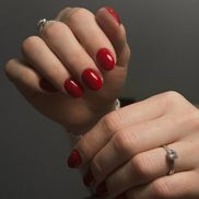 Coloroid - фото 3