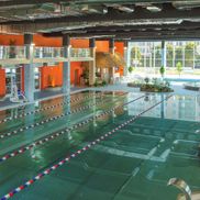 Мандарин - фото 2