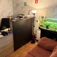 Белый питон - фото 2