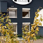 Dog and Cat - фото 3