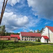 Чайка - фото 4