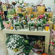 Планета цветов - фото 6