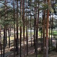 Высокий Берег - фото 6