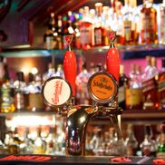 Зелёный попугай - фото 3