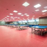 King Pong Club (Кинг Понг Клаб) - фото 3