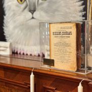 Madame Koko - фото 6