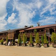 Оазис - фото 6