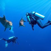 Минский дельфинарий - фото 4