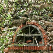 Дворец Валовичей - фото 6