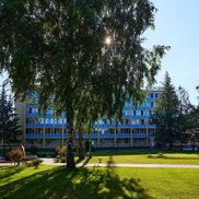 Сосновый бор - фото 6