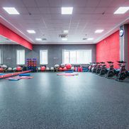 Мандарин - фото 1