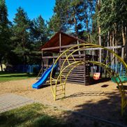 Сосновый бор - фото 6