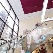 Бина - фото 6