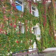 Санаторий «Магистральный» - фото 6