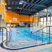 Мандарин - фото 5