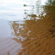 Свитязь - фото 3