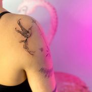 INTUITION - фото 2