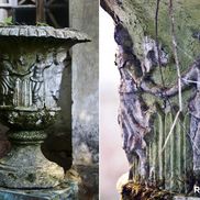 Совейки - фото 6