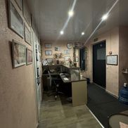 Феникс - фото 4